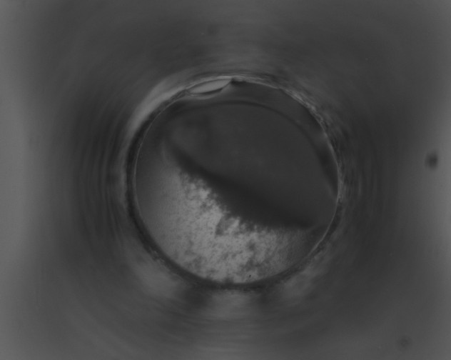 X0000091550198200708311401