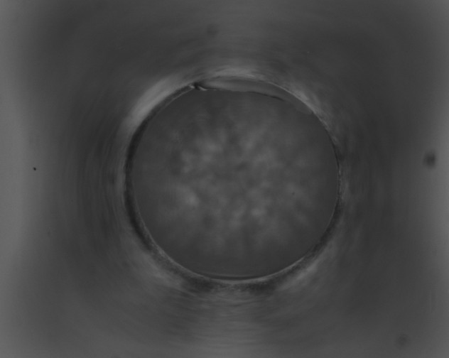X0000091550199200708311401