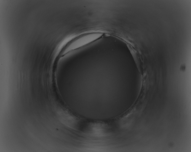 X0000091550200200708311401