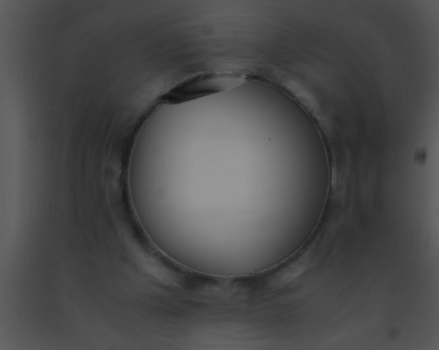 X0000091550201200708311401