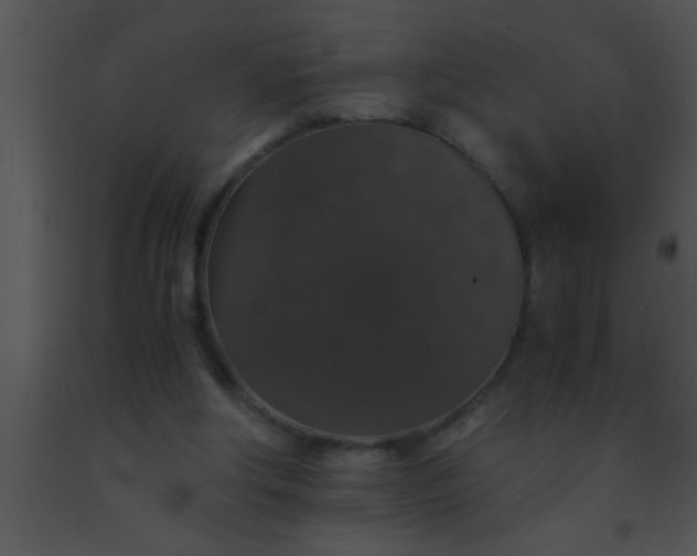 X0000091550202200708311401