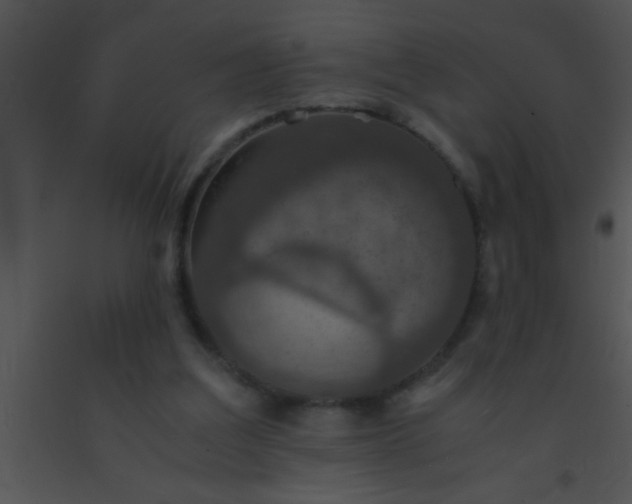 X0000091550203200708311401