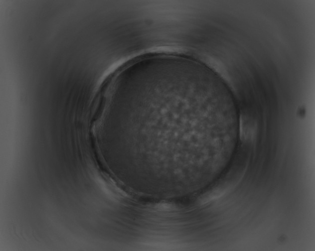X0000091550204200708311401