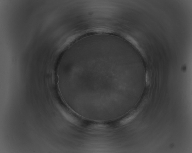 X0000091550205200708311401