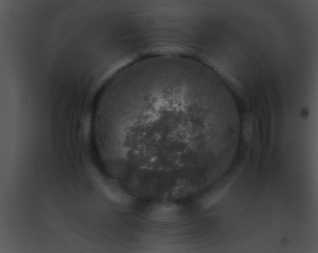 X0000091550206200708311401
