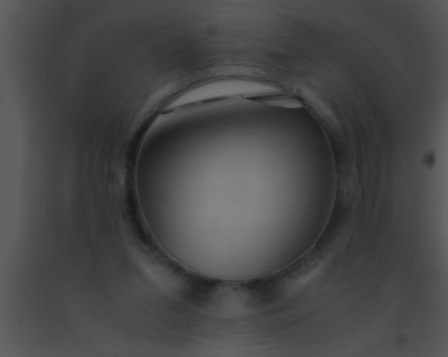 X0000091550207200708311401