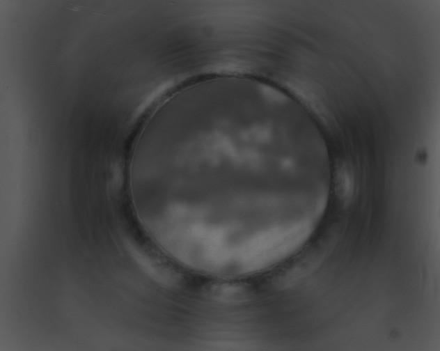 X0000091550208200708311401