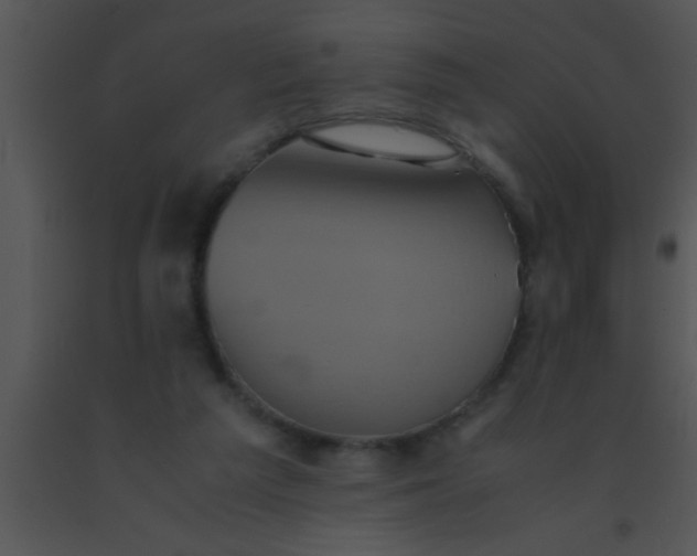 X0000091550209200708311401