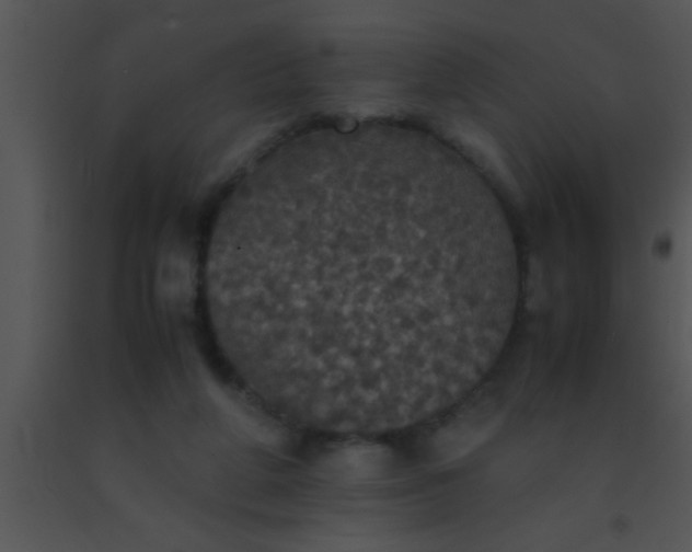 X0000091550210200708311401