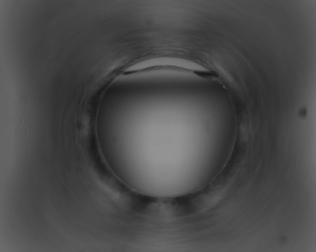 X0000091550211200708311401