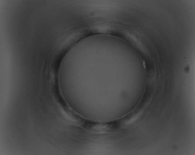 X0000091550213200708311401