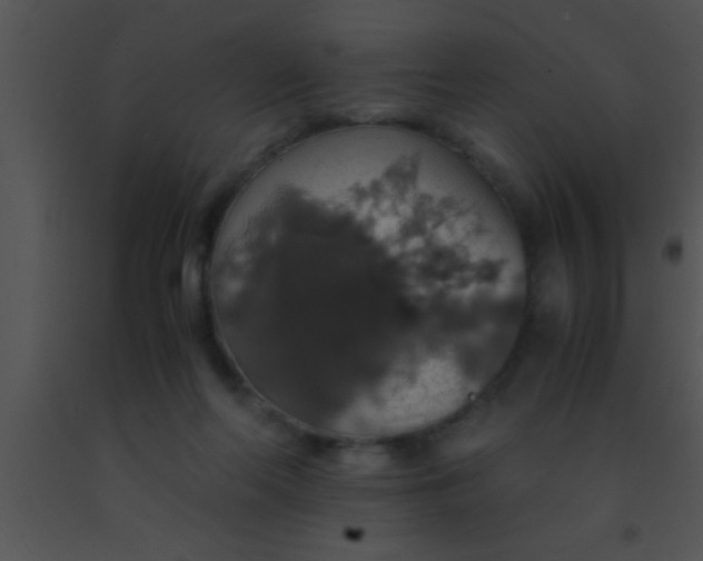 X0000091550214200708311401
