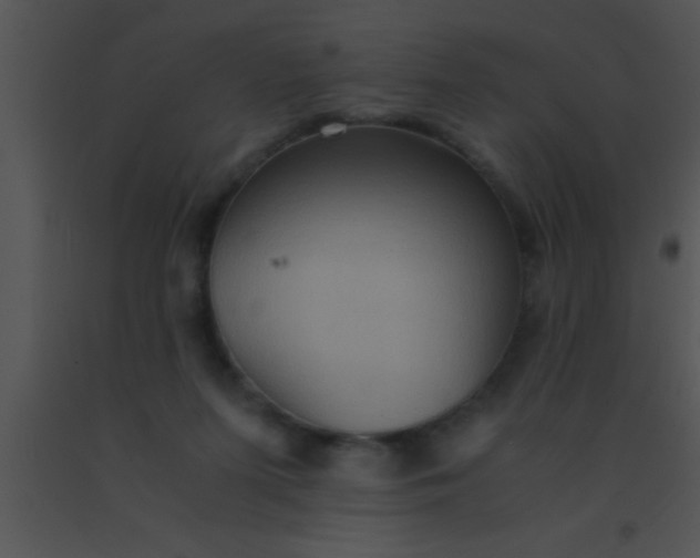 X0000091550215200708311401