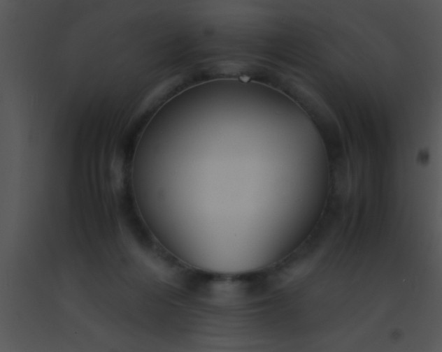 X0000091550216200708311401