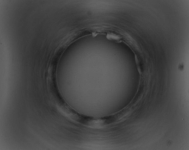 X0000091550217200708311401