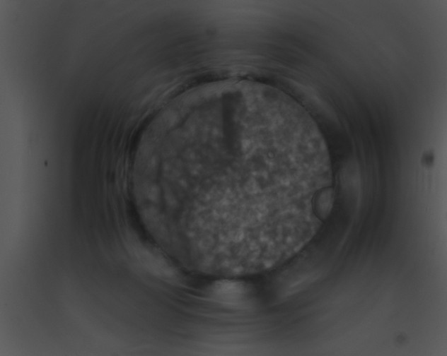 X0000091550218200708311401