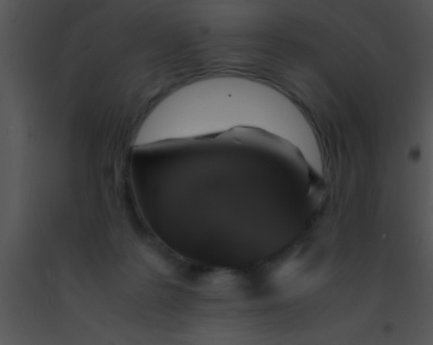 X0000091550219200708311401