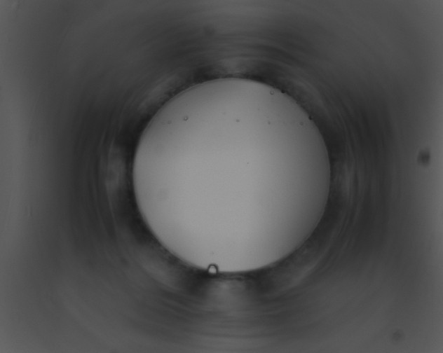 X0000091550220200708311401