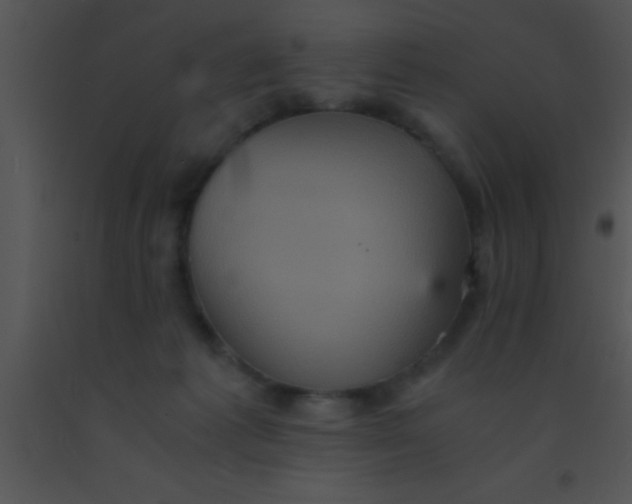 X0000091550221200708311401