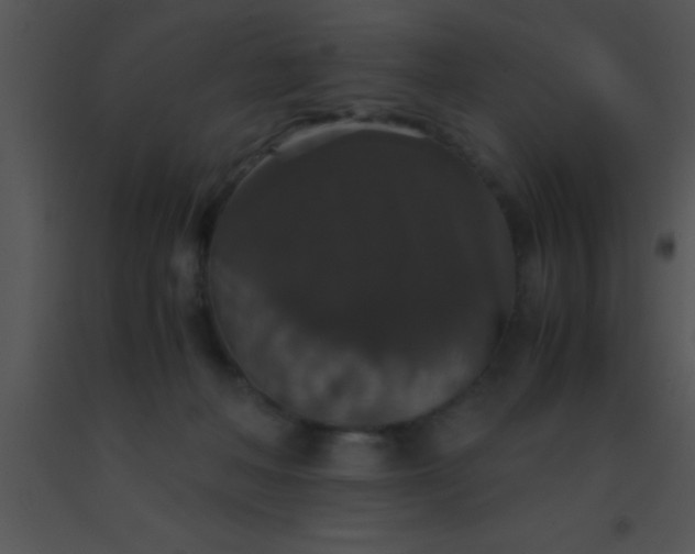 X0000091550222200708311401