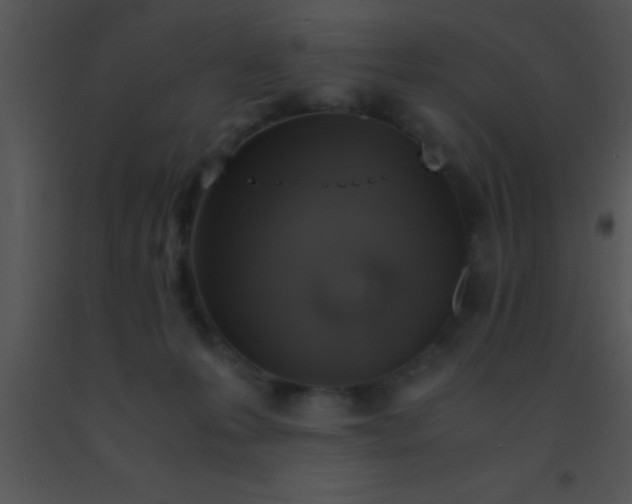 X0000091550223200708311401