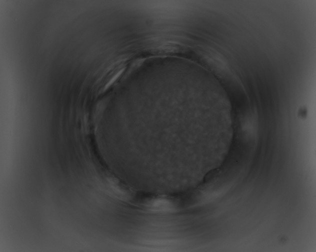 X0000091550224200708311401