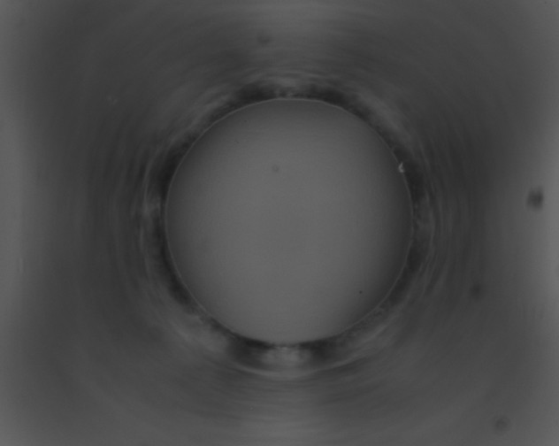 X0000091550225200708311401