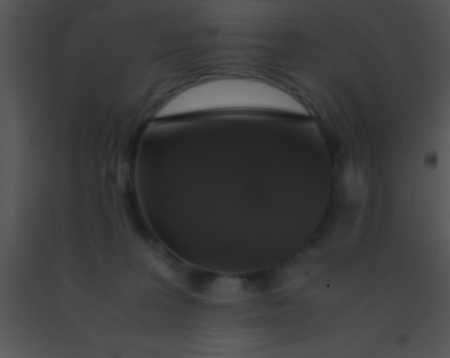 X0000091550227200708311401