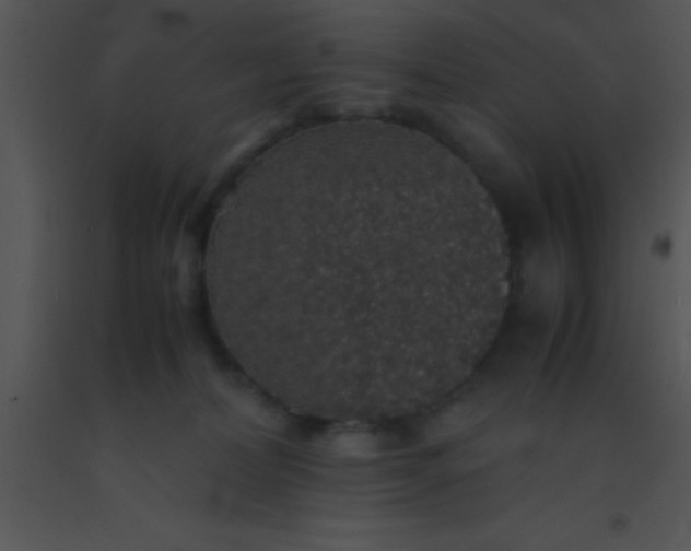 X0000091550228200708311401