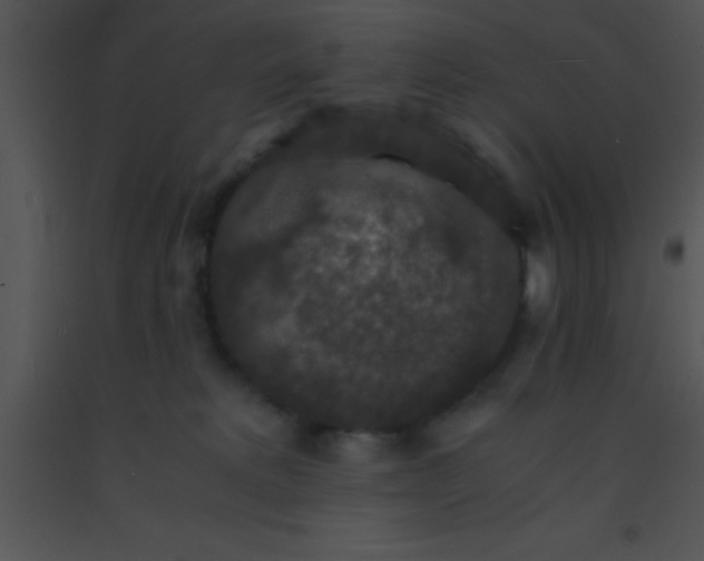 X0000091550229200708311401