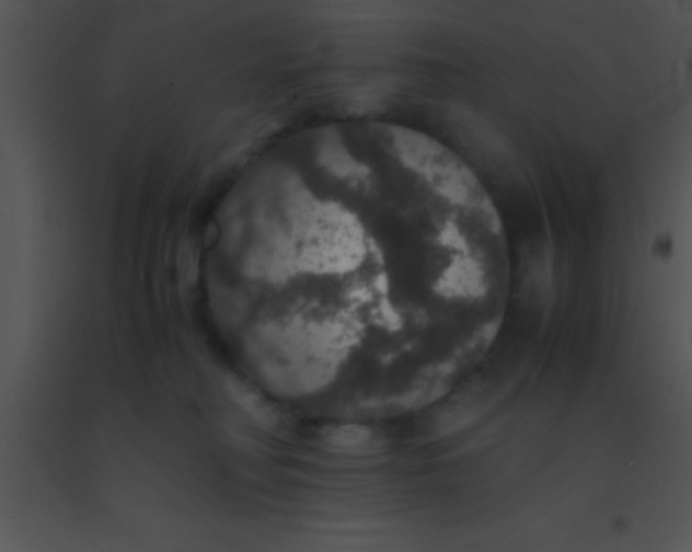 X0000091550230200708311401