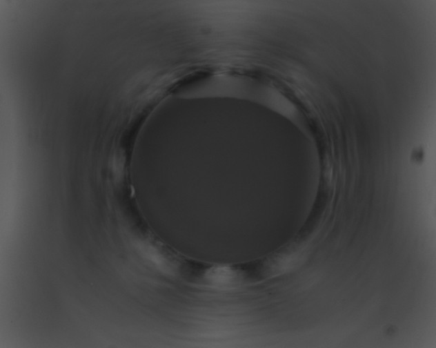 X0000091550231200708311401