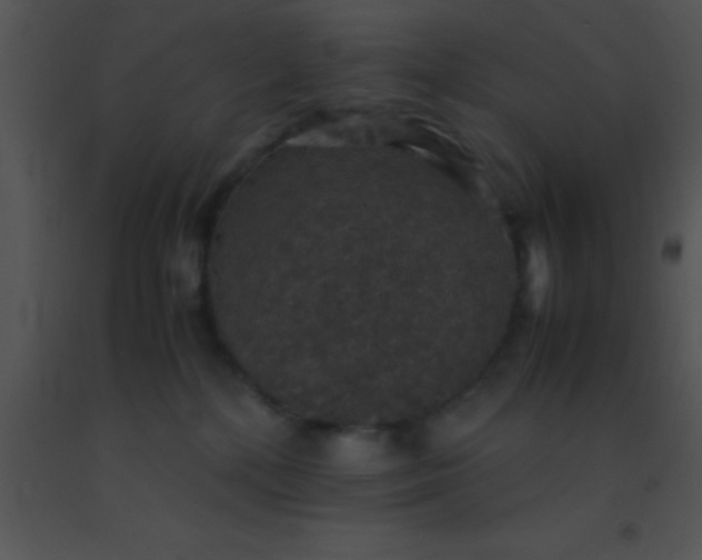 X0000091550232200708311401