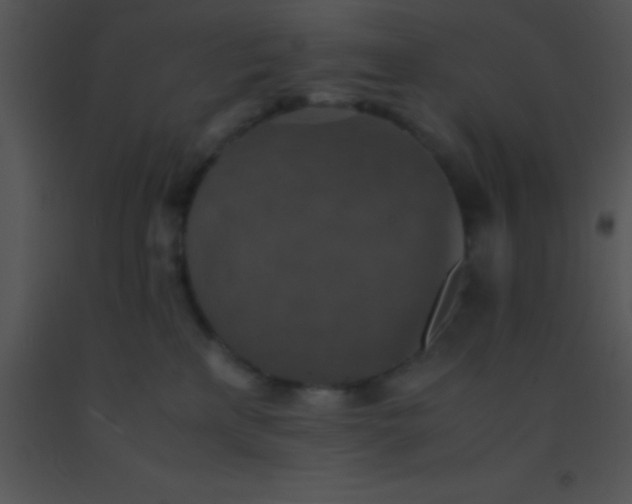 X0000091550233200708311401