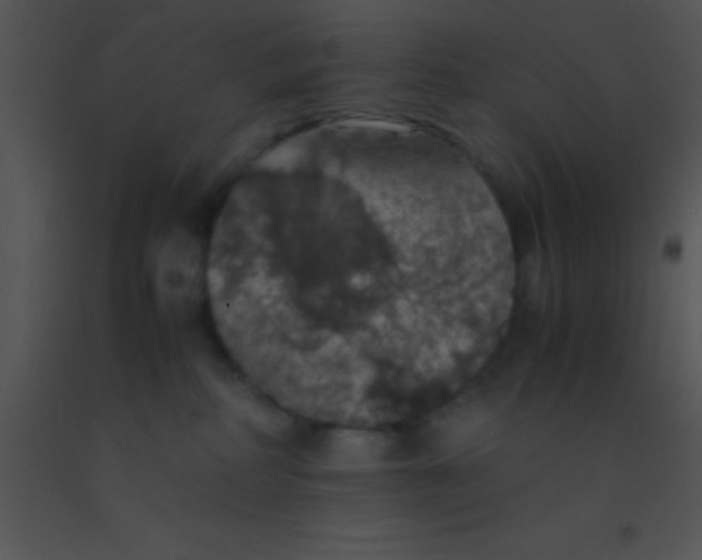 X0000091550234200708311401