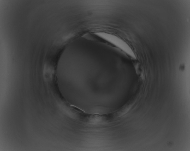 X0000091550235200708311401