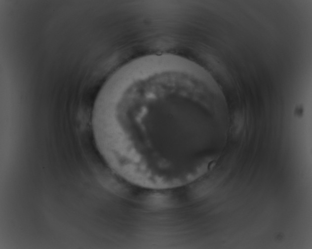 X0000091550236200708311401
