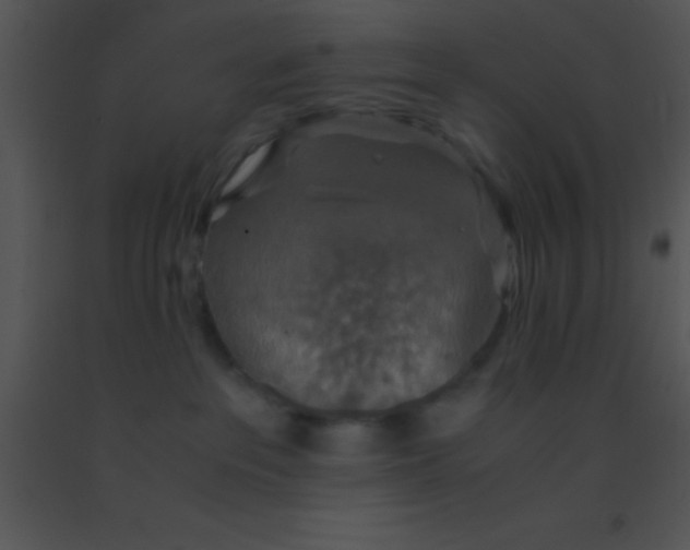 X0000091550237200708311401