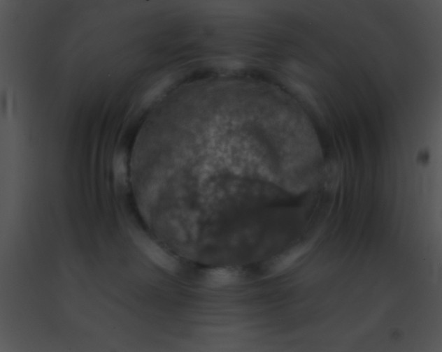X0000091550238200708311401
