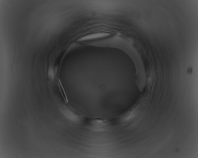 X0000091550239200708311401