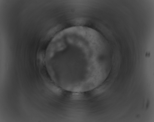 X0000091550240200708311401