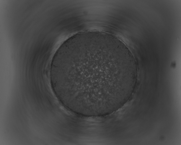 X0000091550241200708311400