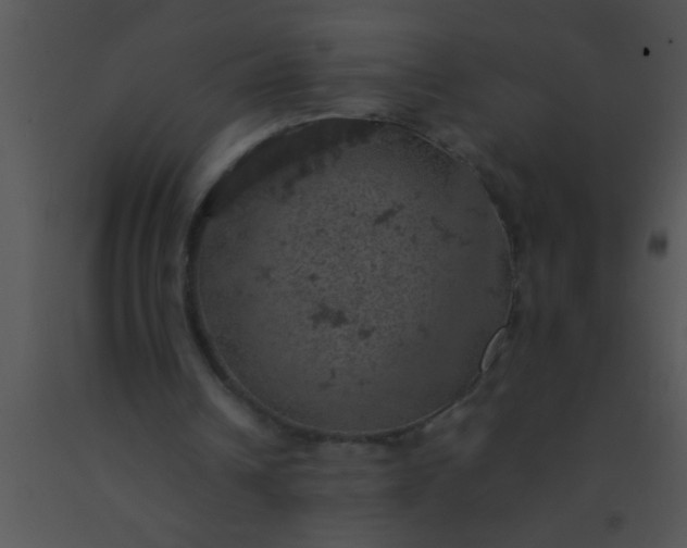 X0000091550242200708311400