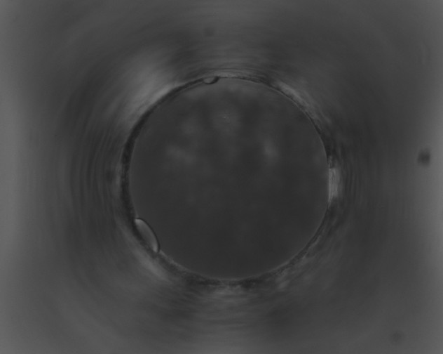 X0000091550243200708311400