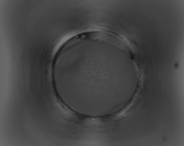 X0000091550244200708311400