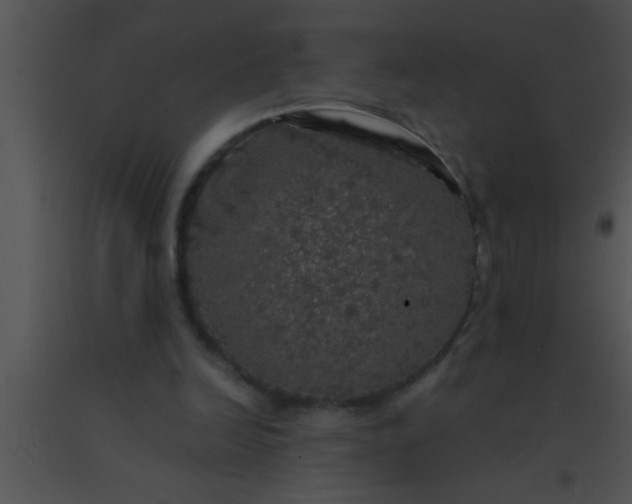 X0000091550246200708311400