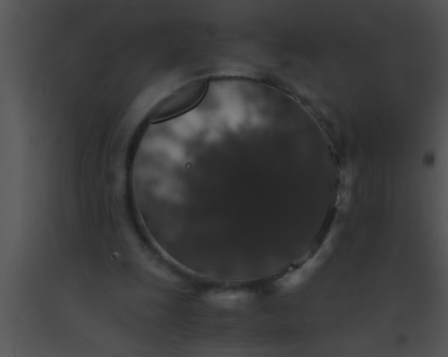 X0000091550247200708311400