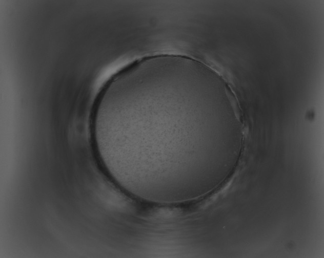 X0000091550248200708311400