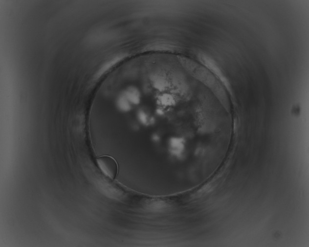 X0000091550249200708311400