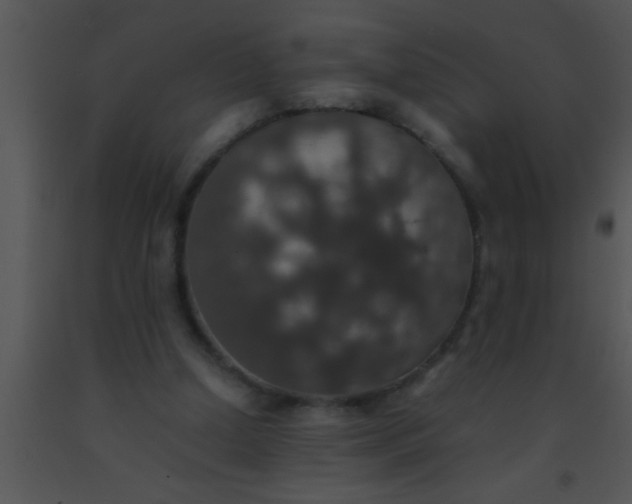X0000091550250200708311400